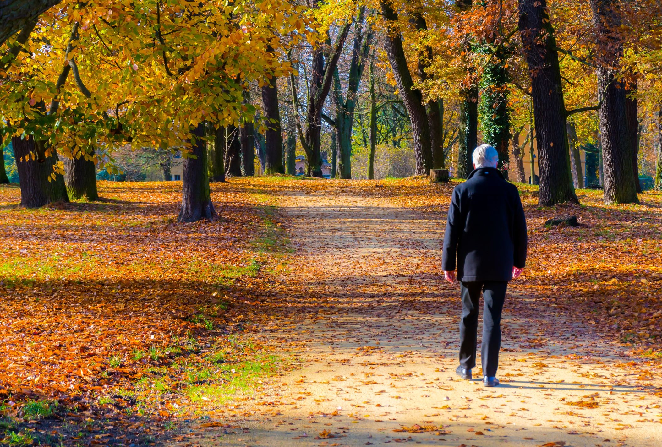 Trastornos afectivos estacionales